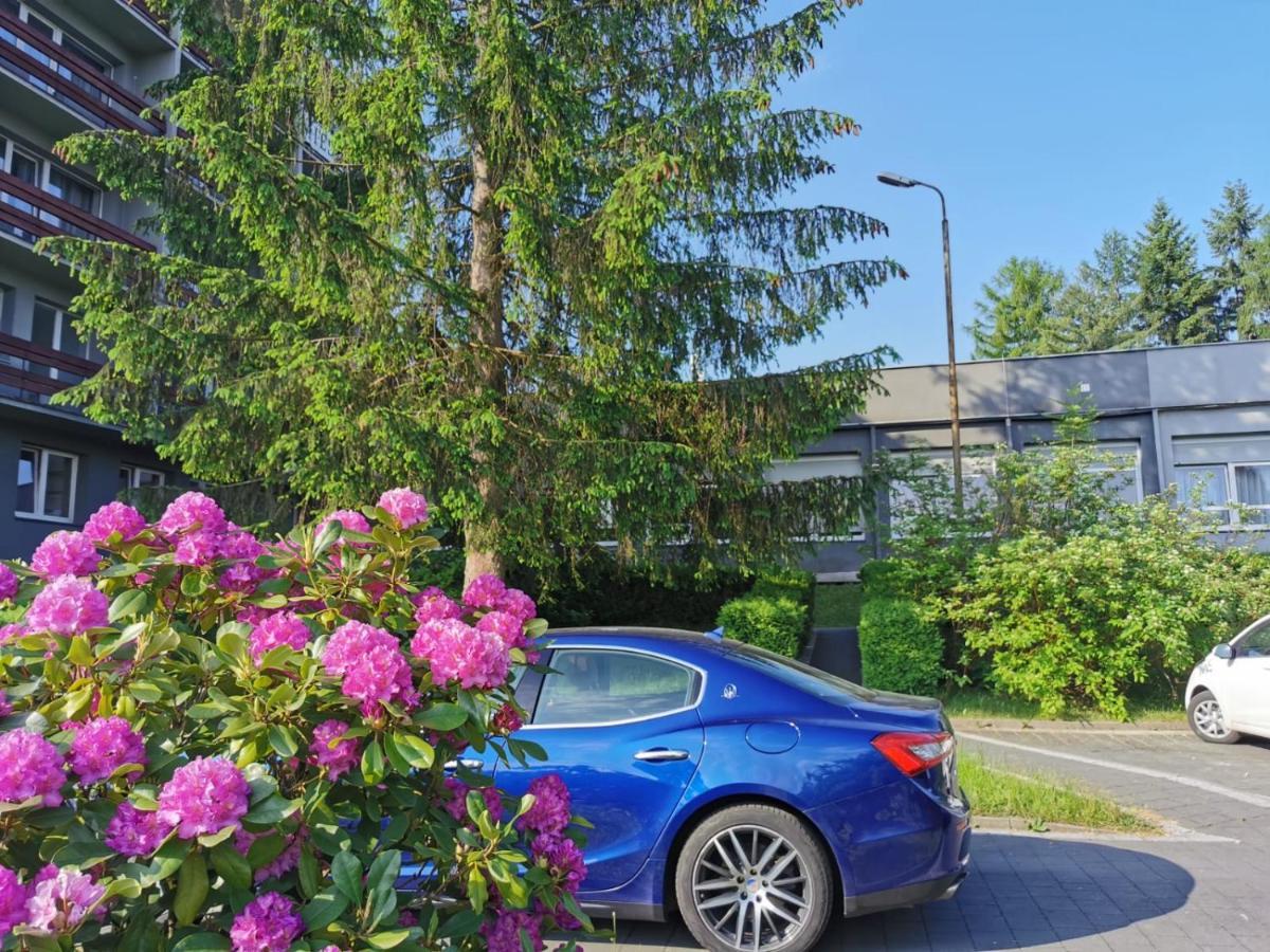 Osrodek Natura Pokrzywna Exterior foto